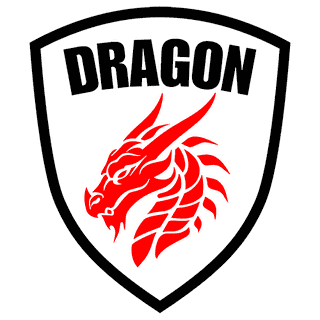Dragon Gi